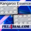 Kangaroo Essence 17